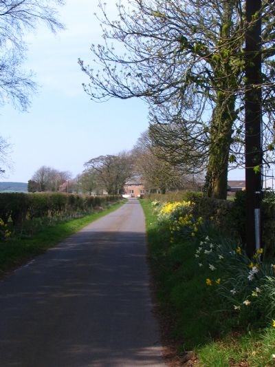 Looking up the minor public road from the gate.